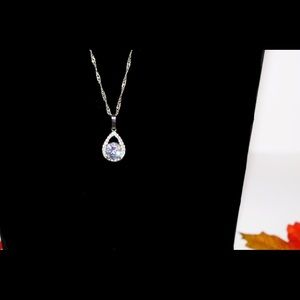 Teardrop Necklace NWOT